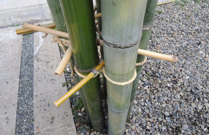 todd hagino 151202 bamboo installation experiment  DSCN8085