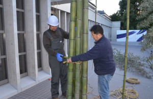 Todd and Hagino 15:12:08 bamboo forest