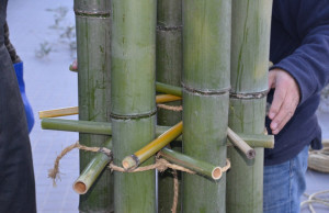 Todd and Hagino 15:12:08 bamboo forest DSC_7164