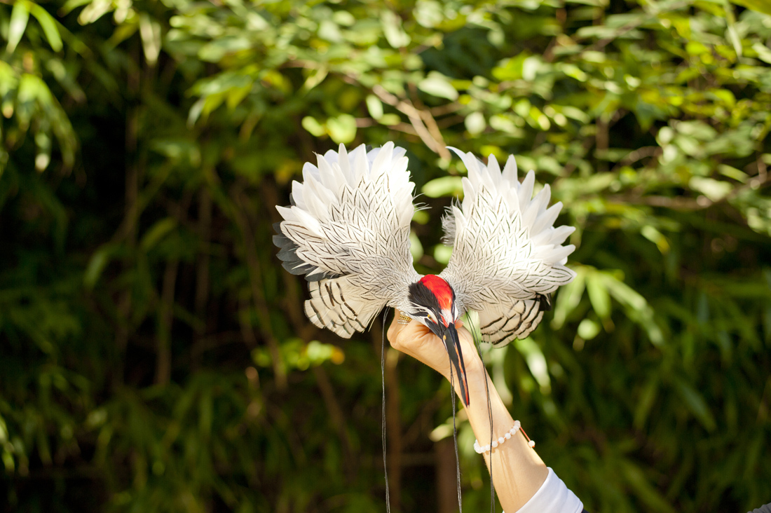 Nelly Saunier. Travail de recherche