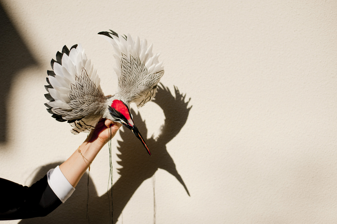 Nelly Saunier. Travail de recherche