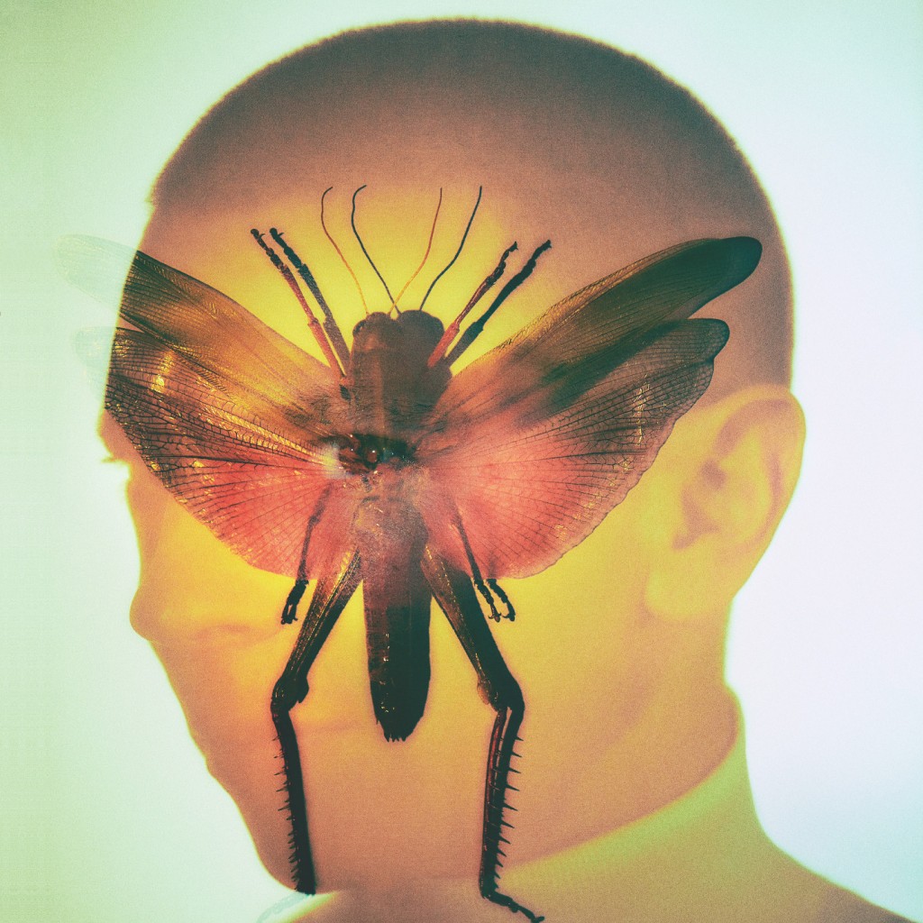 Maël Péneau - Album Rhizome (2021) © Elizaveta Porodina