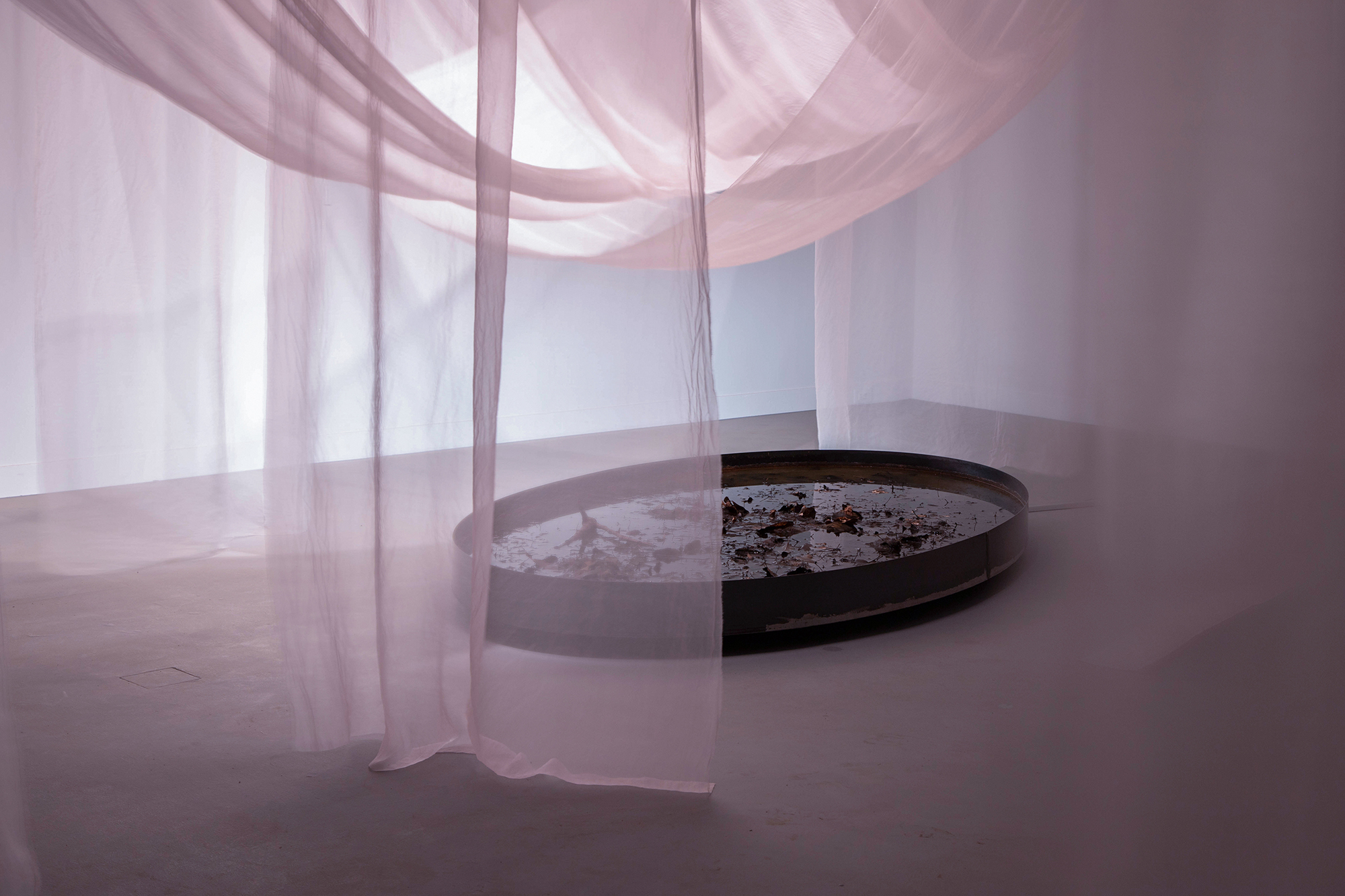 Bodhisattva Pond_2024