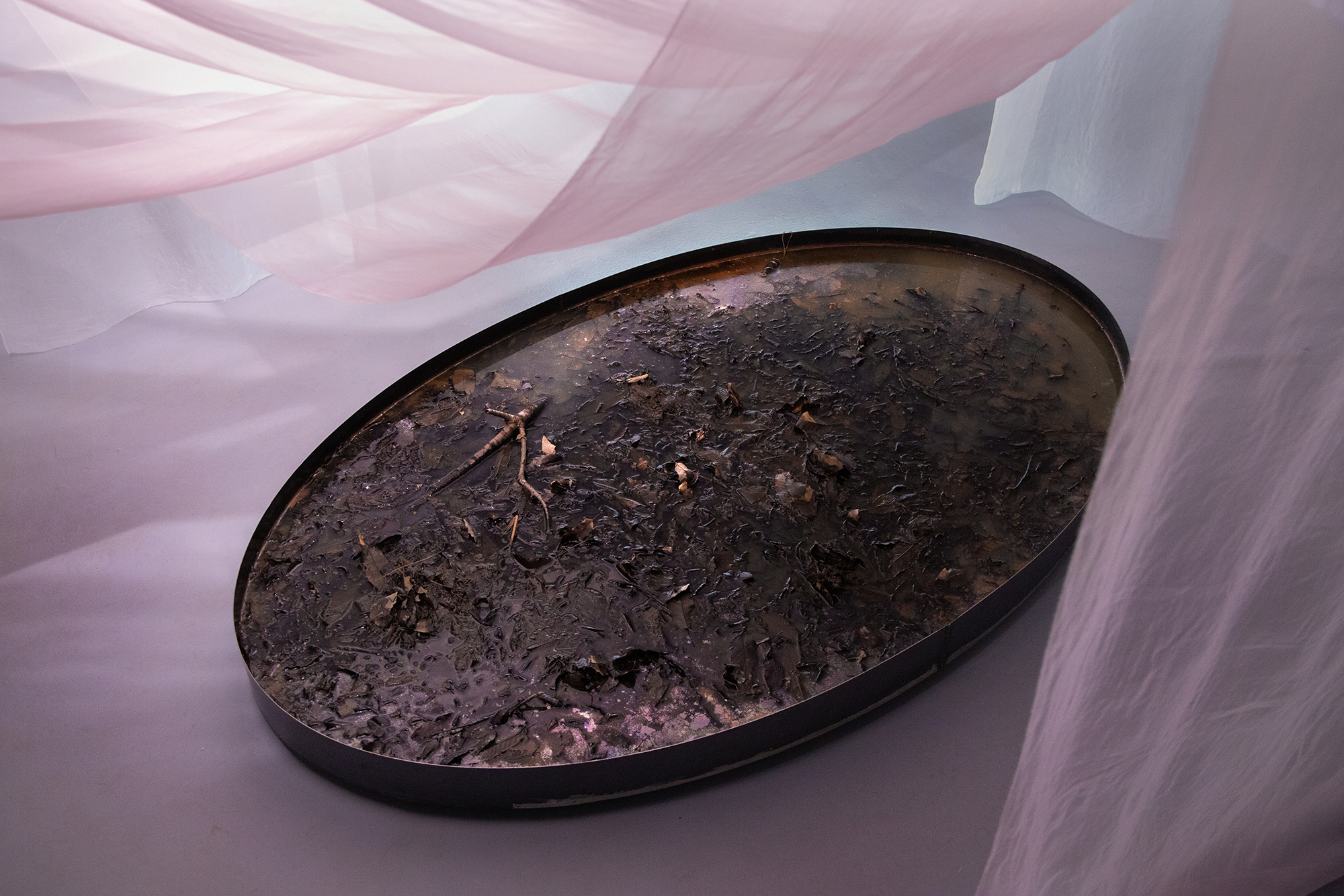 Bodhisattva Pond_2024_2